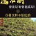 霍山仿野生铁皮石斛枫斗精品铁皮石斛鲜条干条干花
