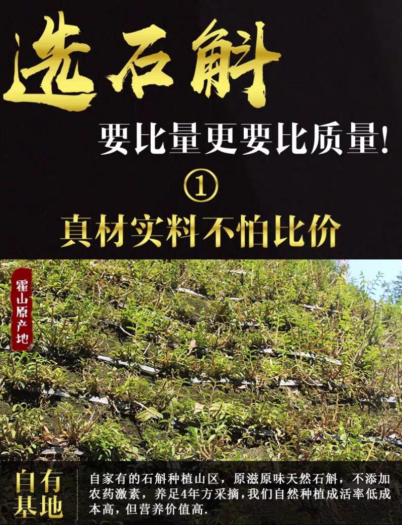 霍山仿野生铁皮石斛枫斗精品铁皮石斛鲜条干条干花