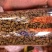 霍山仿野生铁皮石斛枫斗精品铁皮石斛鲜条干条干花
