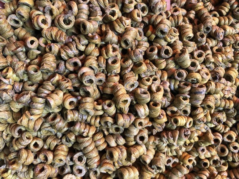 霍山仿野生铁皮石斛枫斗精品铁皮石斛鲜条干条干花