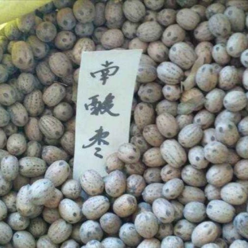 南酸枣五眼果可打粉正品保障专业中药批发