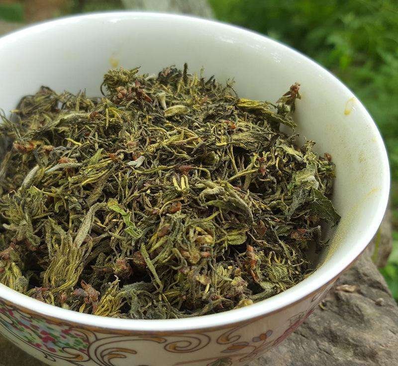 杜仲雄花批发正品保障专业经营品质保证
