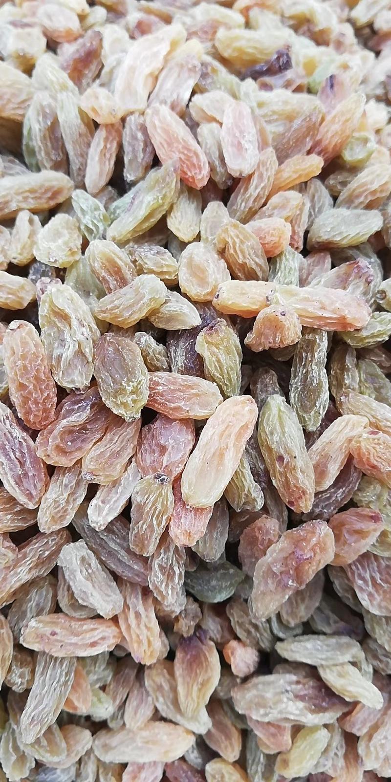 新疆葡萄干吐鲁番绿葡萄干大颗粒干度好厂家货源价格低