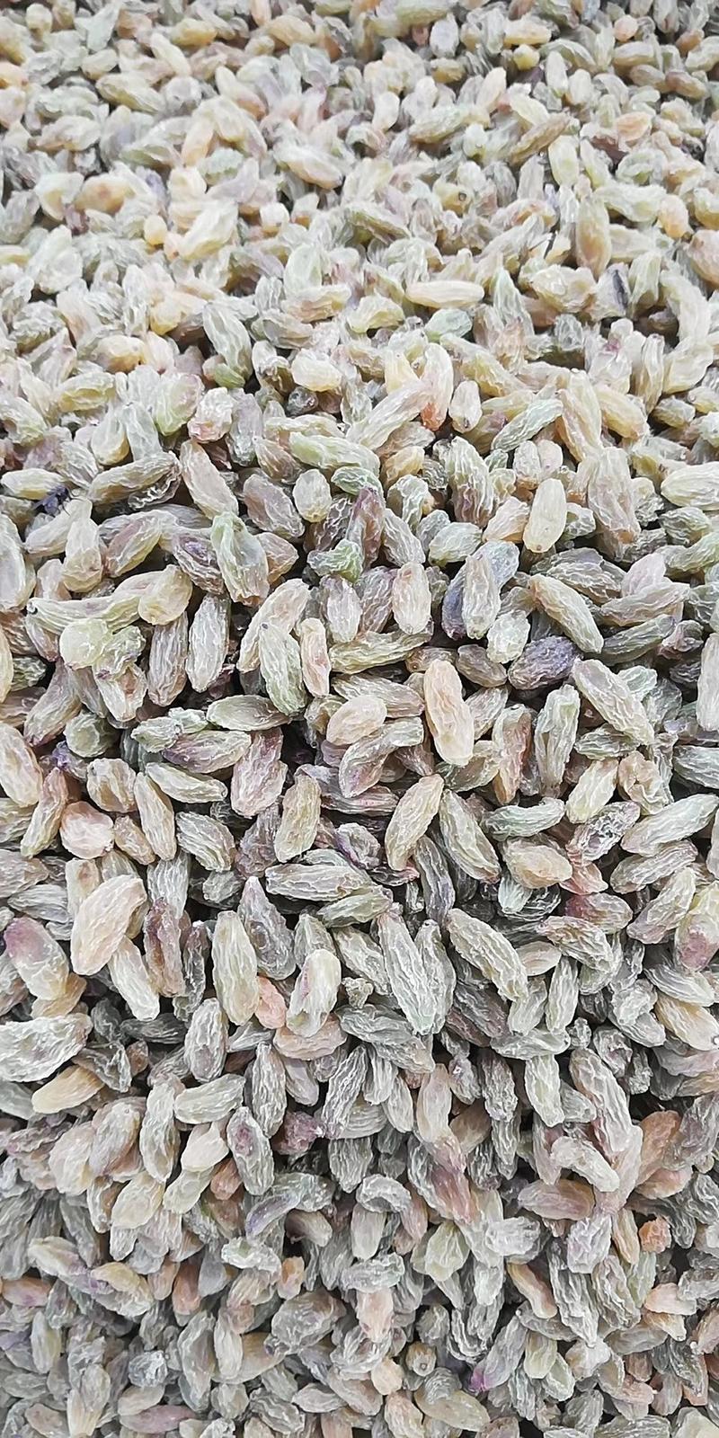 新疆葡萄干吐鲁番绿葡萄干大颗粒干度好厂家货源价格低