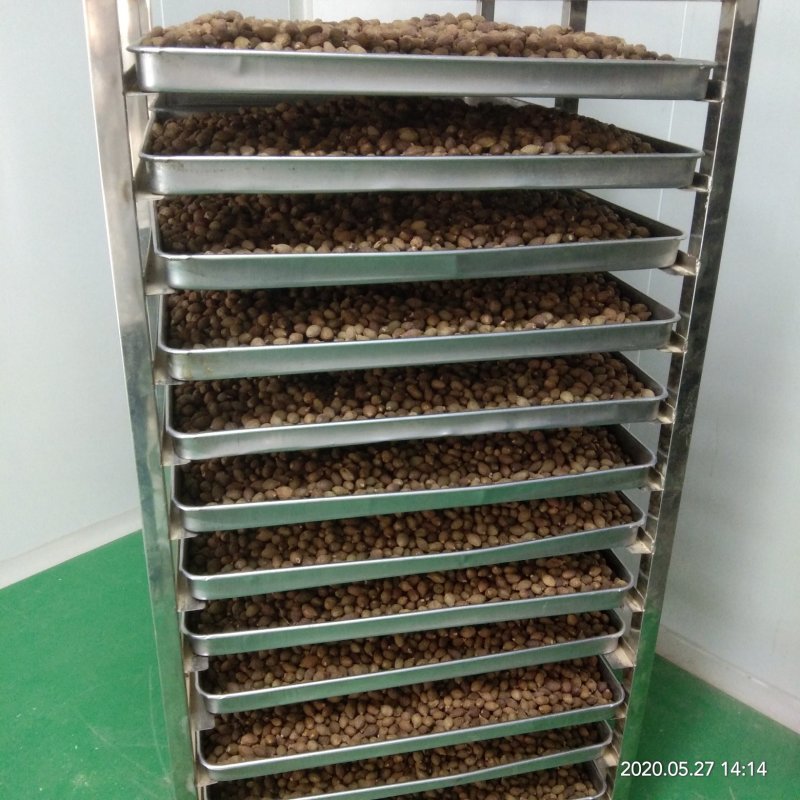 批发胖大海各种规格润喉茶胖大海散装花草茶胖大海茶