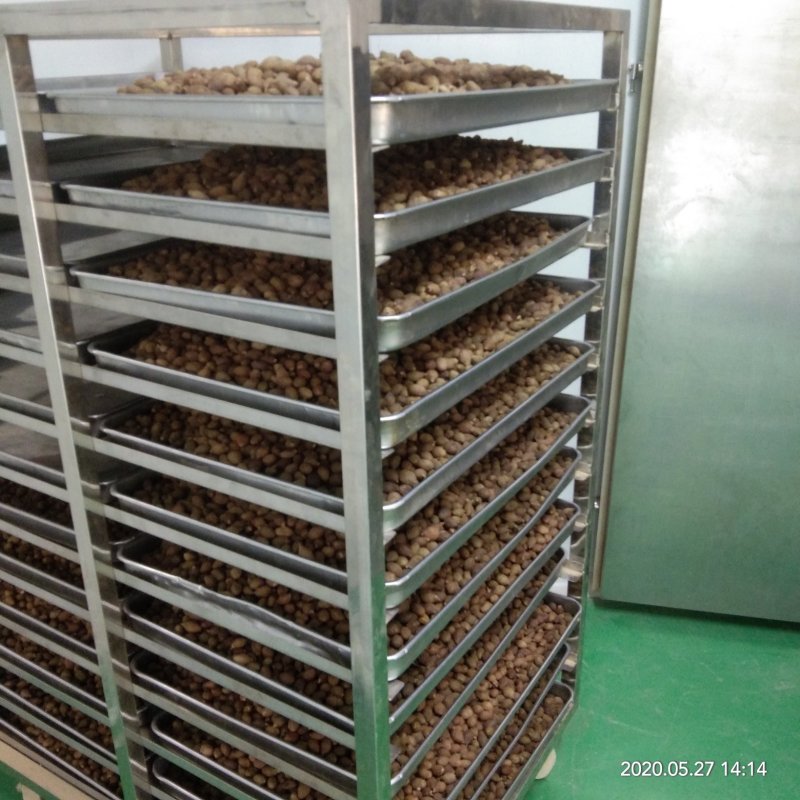 批发胖大海各种规格润喉茶胖大海散装花草茶胖大海茶