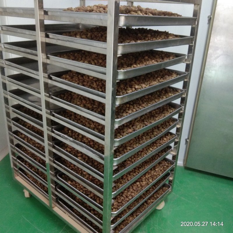 批发胖大海各种规格润喉茶胖大海散装花草茶胖大海茶
