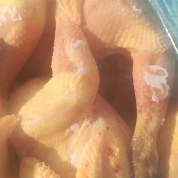 白条鸡