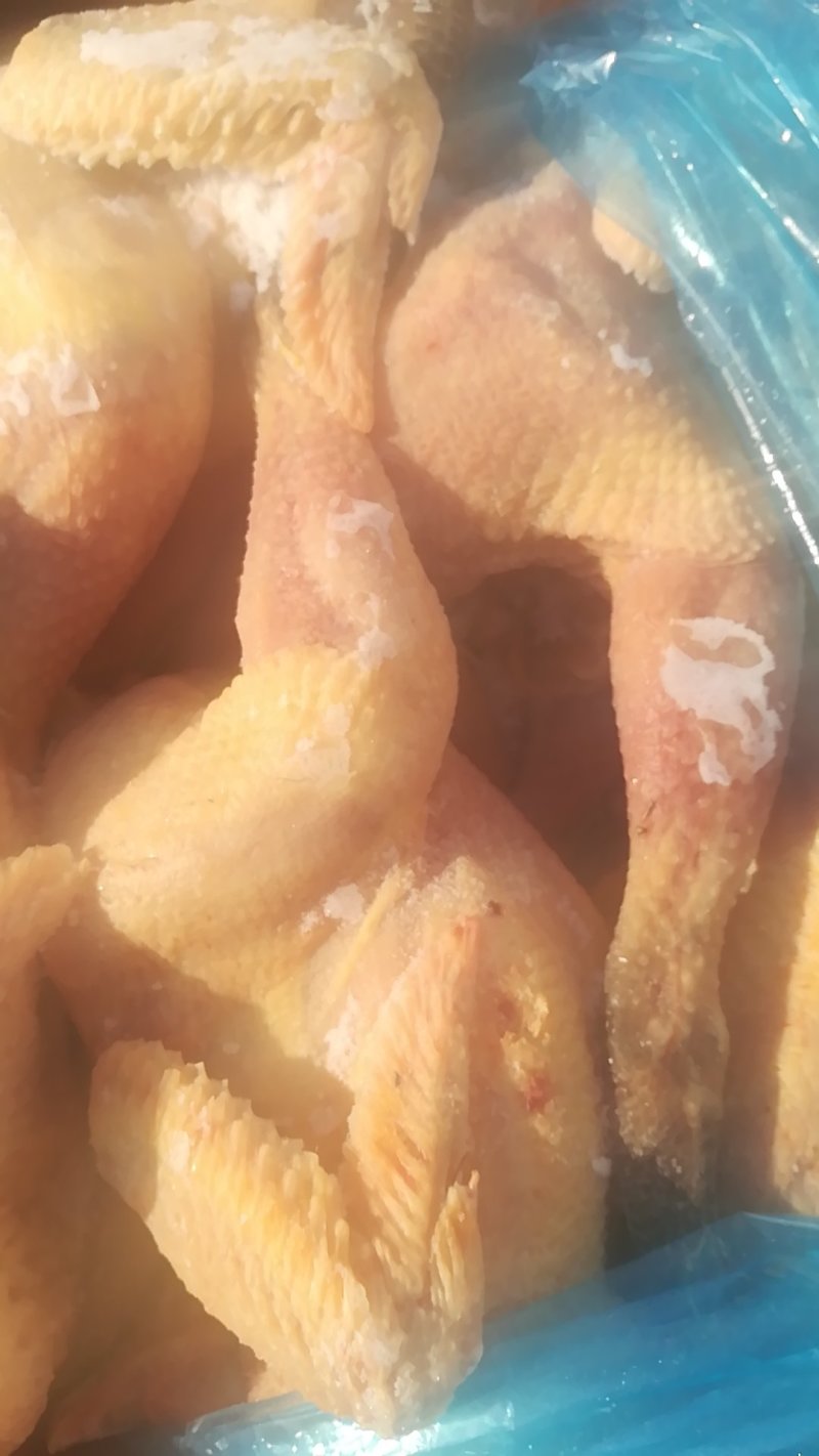 白条鸡