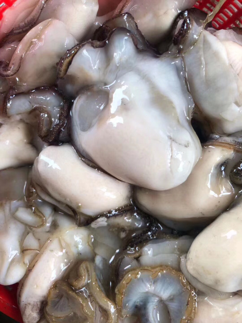 生蚝肉鲜活现剥牡蛎肉去壳海蛎子肉批发每天新鲜