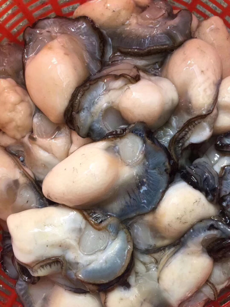 生蚝肉鲜活现剥牡蛎肉去壳海蛎子肉批发每天新鲜