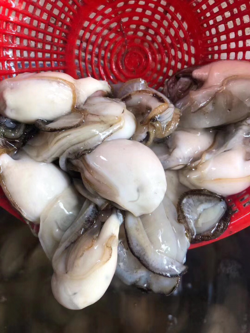 生蚝肉鲜活现剥牡蛎肉去壳海蛎子肉批发每天新鲜