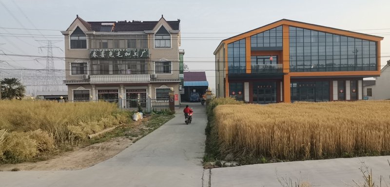 新鲜兔架兔排兔子肉分割品