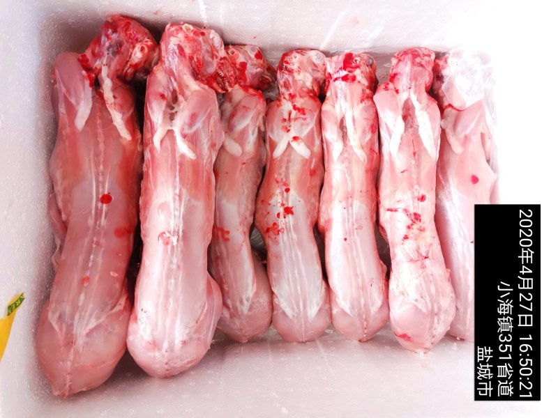 新鲜兔前腿生兔肉当天兔肉新鲜分割兔前腿