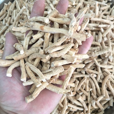 西洋参进口，批发各种规格中药材
