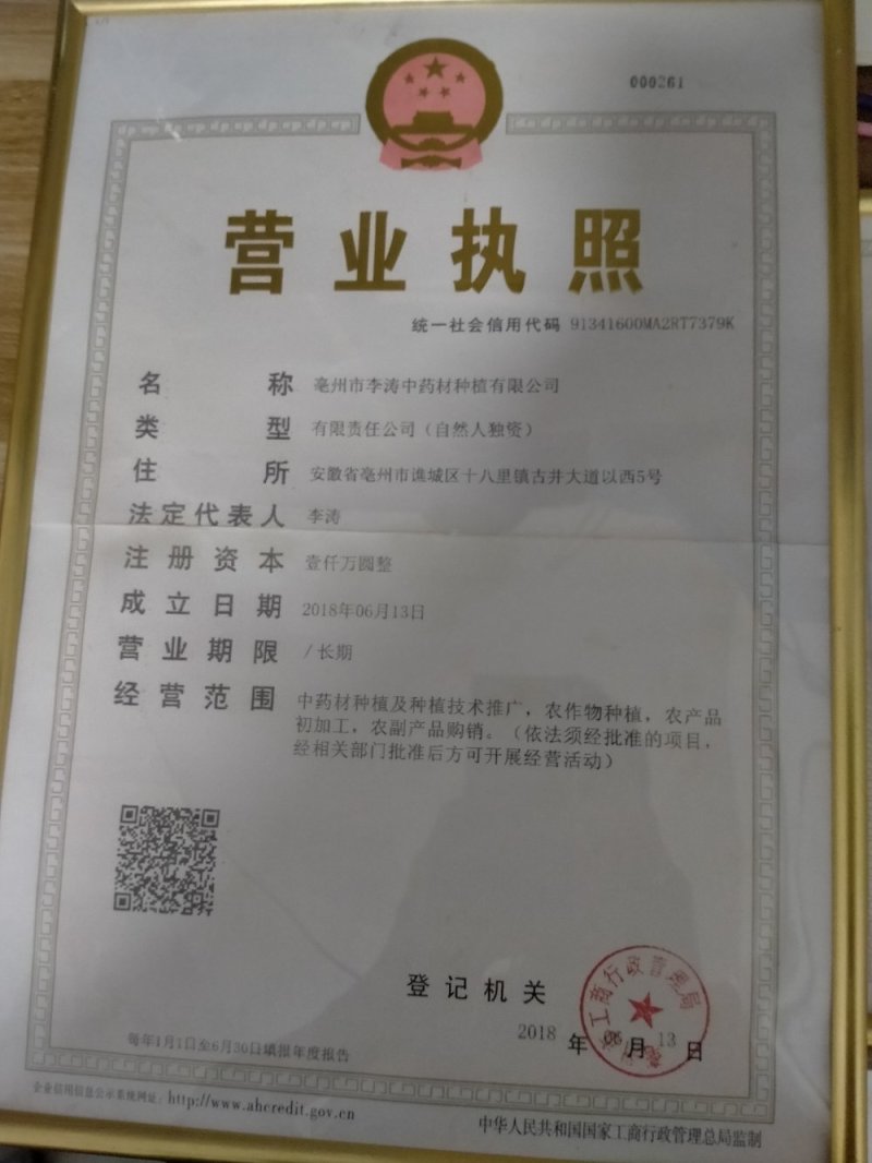 丝瓜络！切段！整棵规格齐全！一手货源大货批发价格优