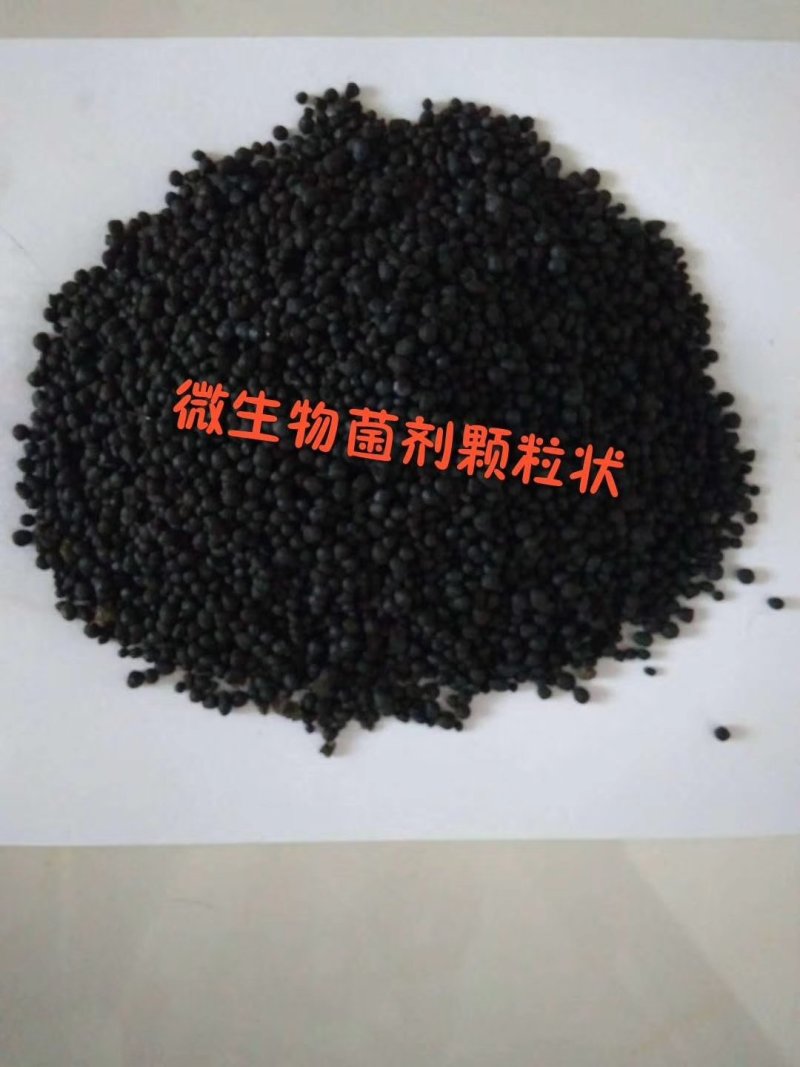厂家供应水产专用肥复合微生物菌剂培水肥水