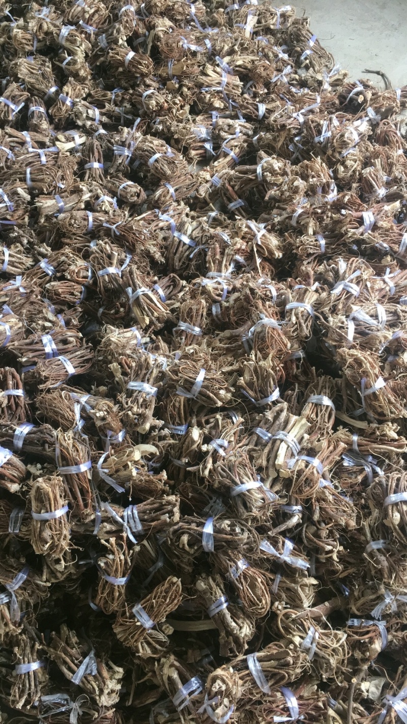 纯手工扎长，小把五指毛桃