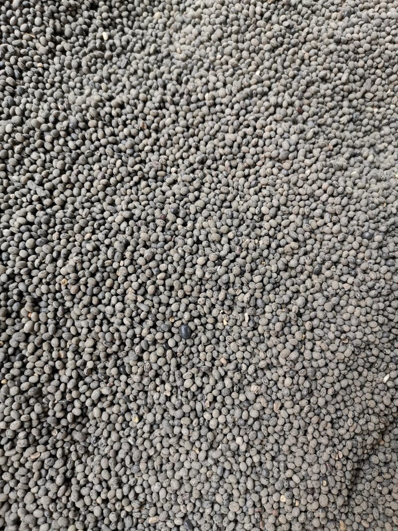 白花菜子优质无硫无杂质净货新货产地直销白花菜籽