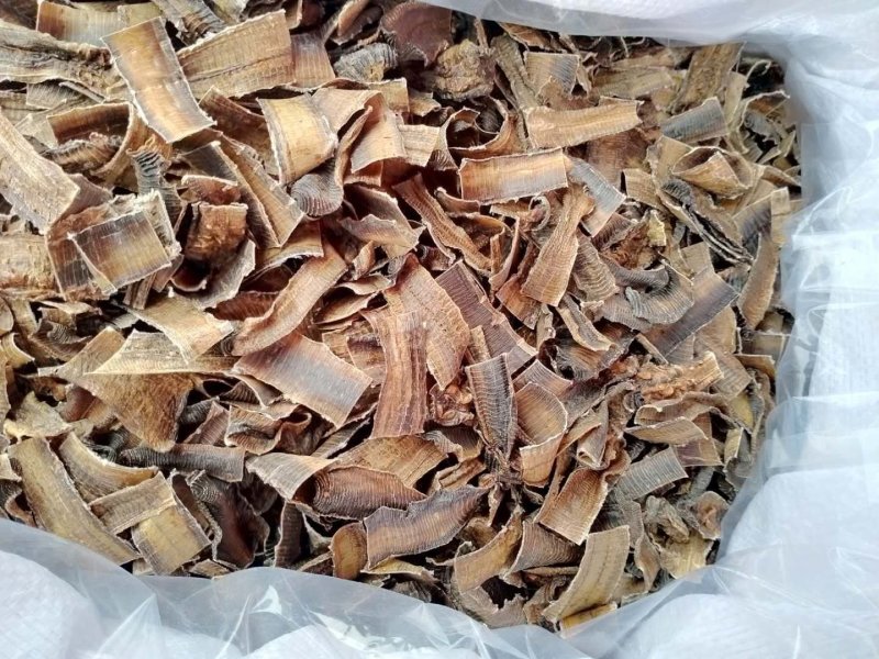 地龙中药材！规格其全大货供应一手货源价格优。