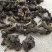 拐枣七拐枣干货新货无杂质枳具子产地直销可供大货