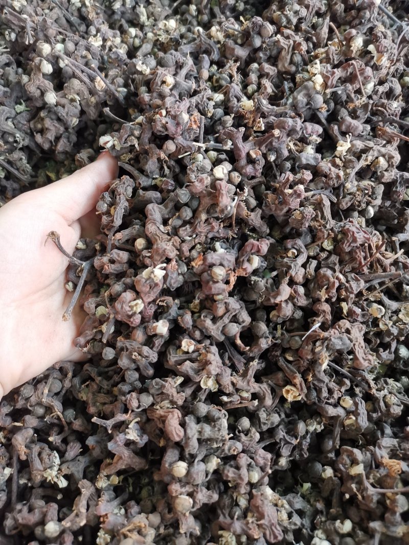 拐枣七拐枣干货新货无杂质枳具子产地直销可供大货