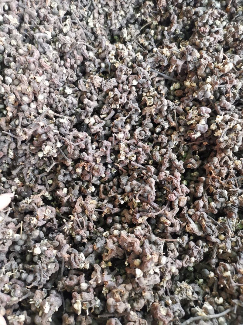 拐枣七拐枣干货新货无杂质枳具子产地直销可供大货