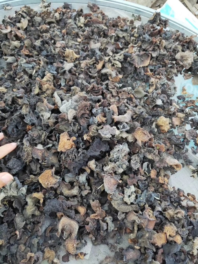 云南纯野生木耳野生木耳干货