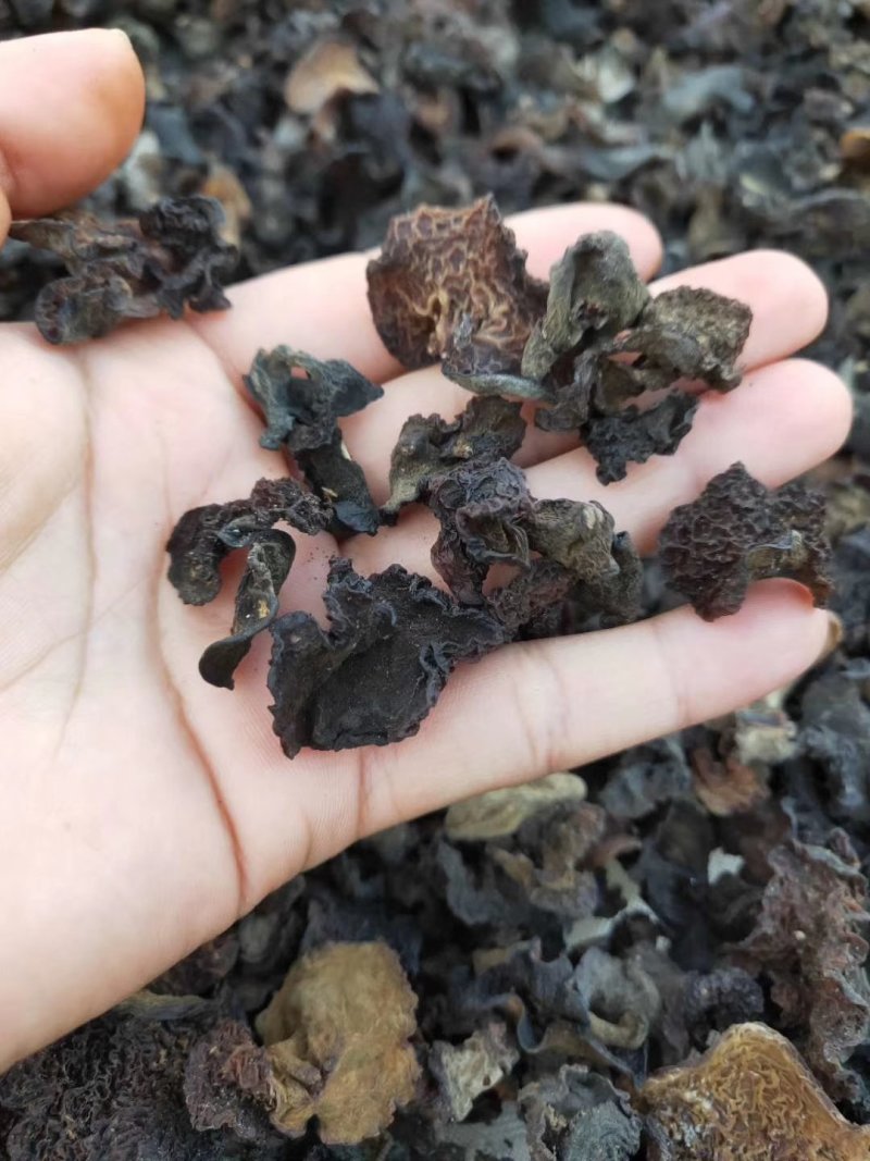 云南纯野生木耳野生木耳干货