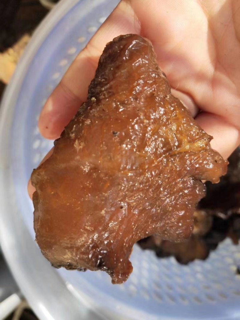 云南纯野生木耳野生木耳干货