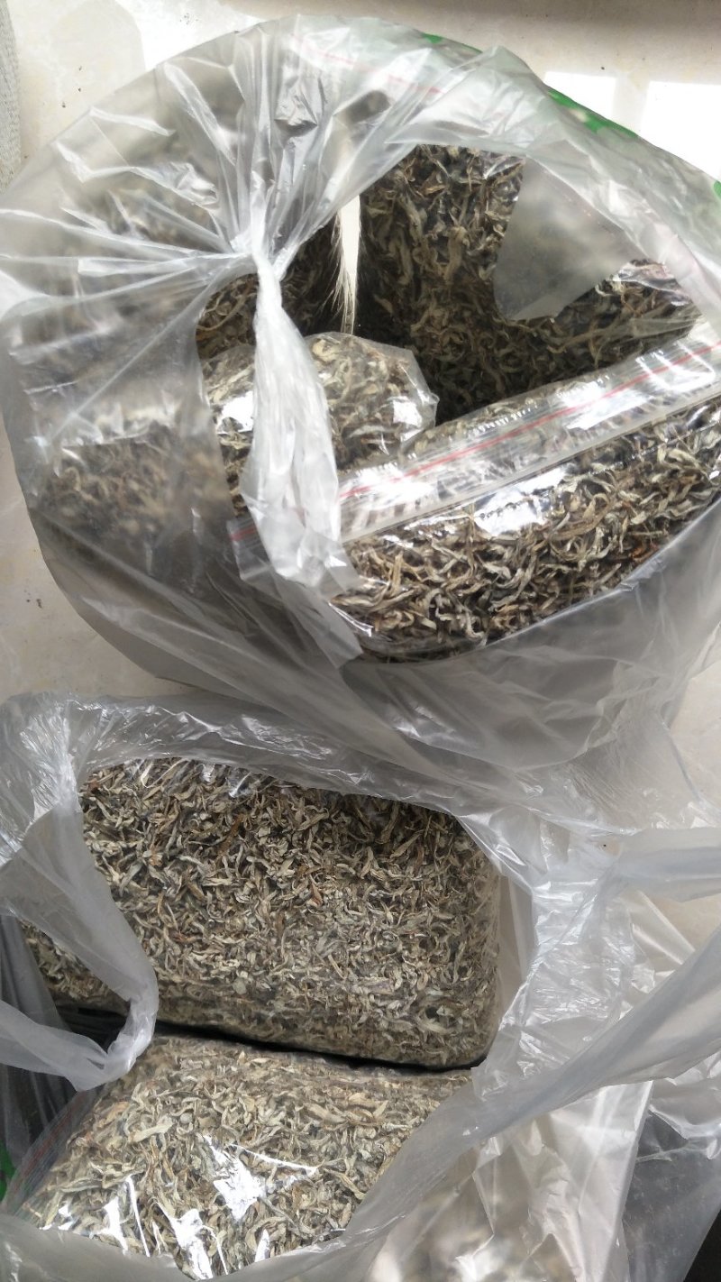 千年古树老鹰茶，白茶，老林茶，大茶