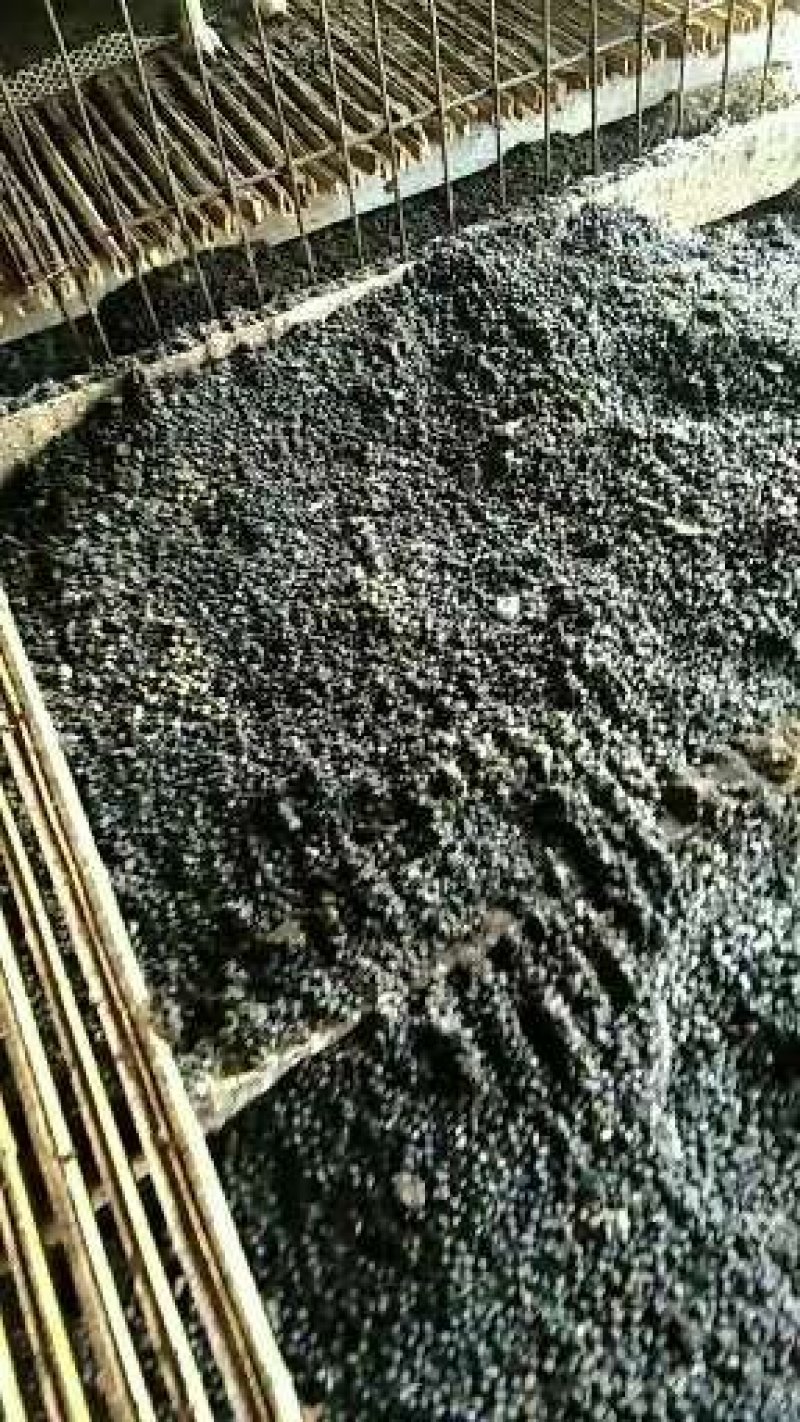 大量供应批发纯羊粪蛋，无杂质纯正羊粪！有要的联系我