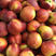 精品油桃，河南商丘中油四号油桃大量供应，产地直发一手货源