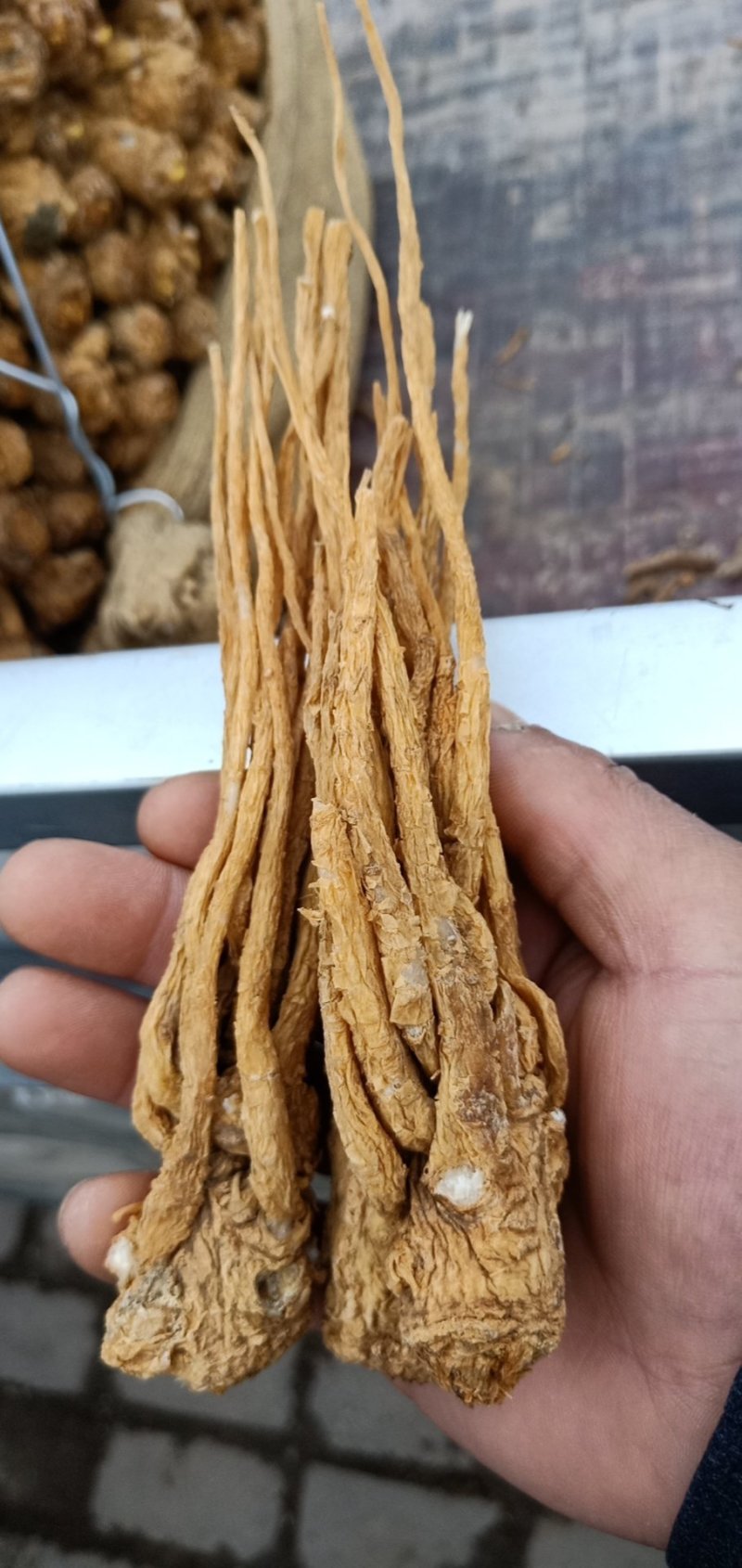 当归水冼黄、一手货源、有需要香归的老板前来选购