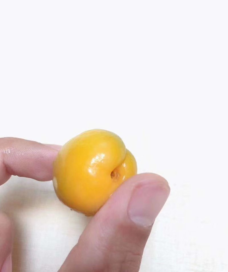 新疆轮胎小白杏