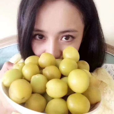新疆轮胎小白杏