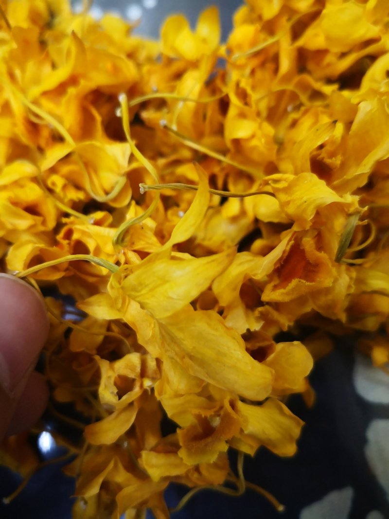 鼓槌石斛花花中黄金抽烟熬夜饮用佳品黄金花