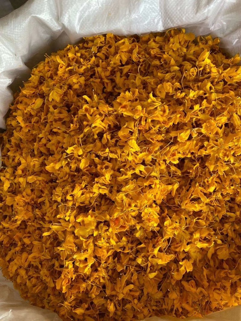 鼓槌石斛花花中黄金抽烟熬夜饮用佳品黄金花