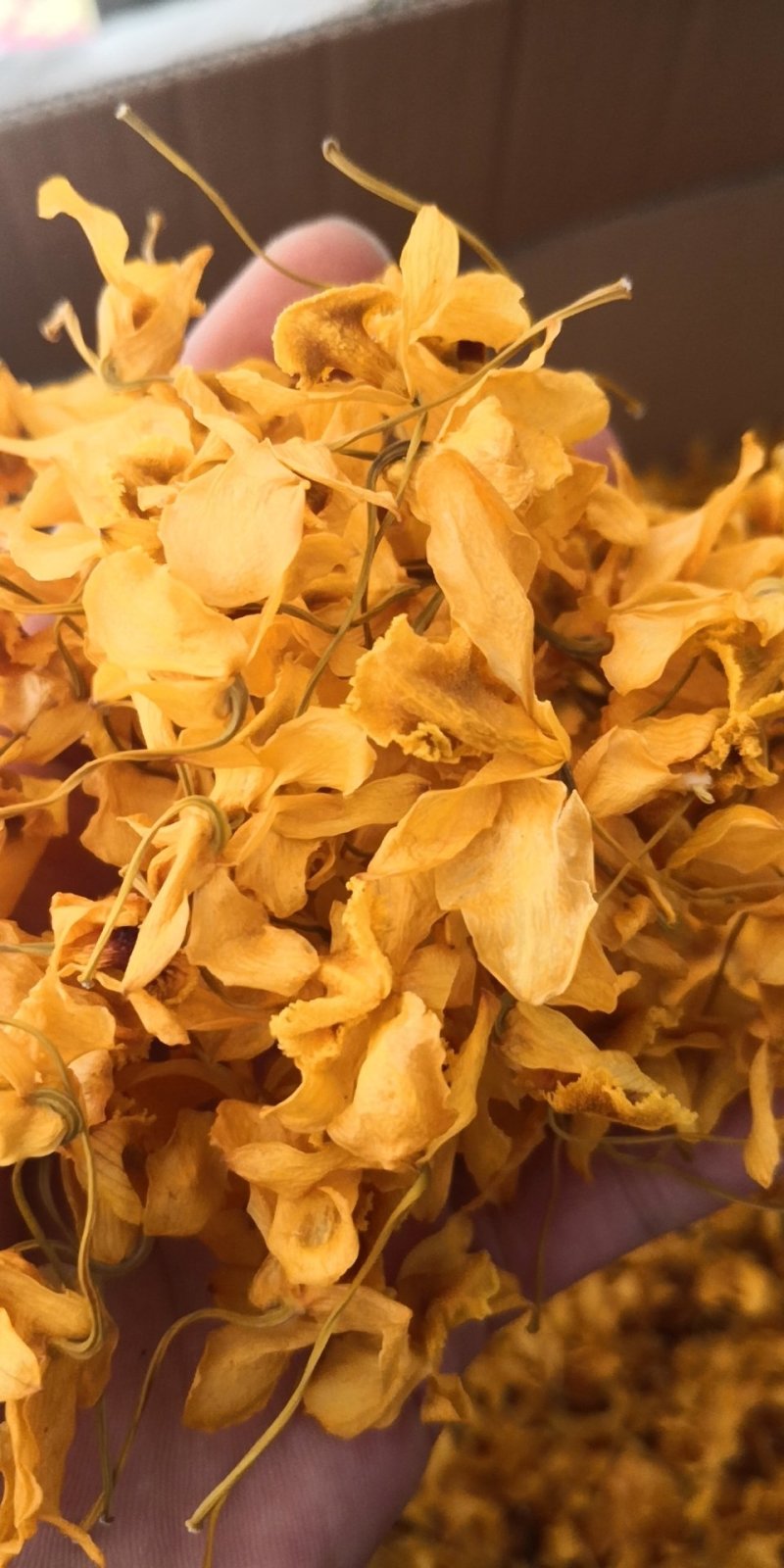鼓槌石斛花花中黄金抽烟熬夜饮用佳品黄金花