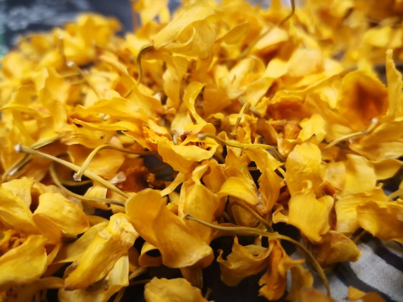 鼓槌石斛花花中黄金抽烟熬夜饮用佳品黄金花