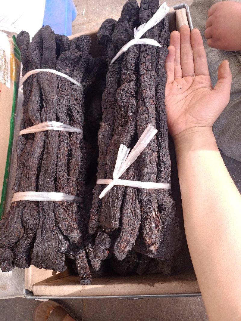 肉苁蓉新疆大云木质硬片大含量高大货供应可全国发货