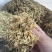 金银花，优质金银花，基地一手货源。全年有售。