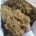 金银花，优质金银花，基地一手货源。全年有售。