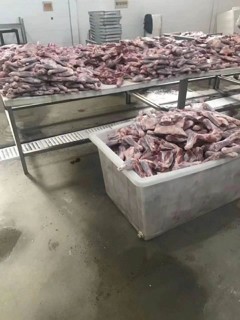 羊腿，山羊，绵羊羊腿，各种大小规格，散装，真空包装都有