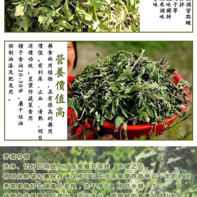 东北特产荠菜干菜～口感清香包馅料用
