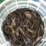 花肚皮江鲶，肚子里没油