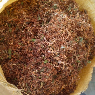 野生金银花,夏天凉茶必选