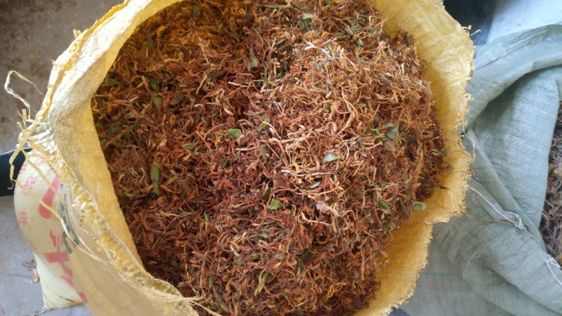 野生金银花,夏天凉茶必选