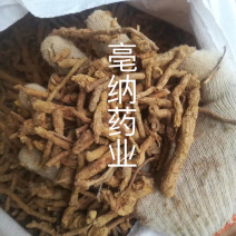 鸡骨香无硫鸡骨香进口鸡骨香大货批发