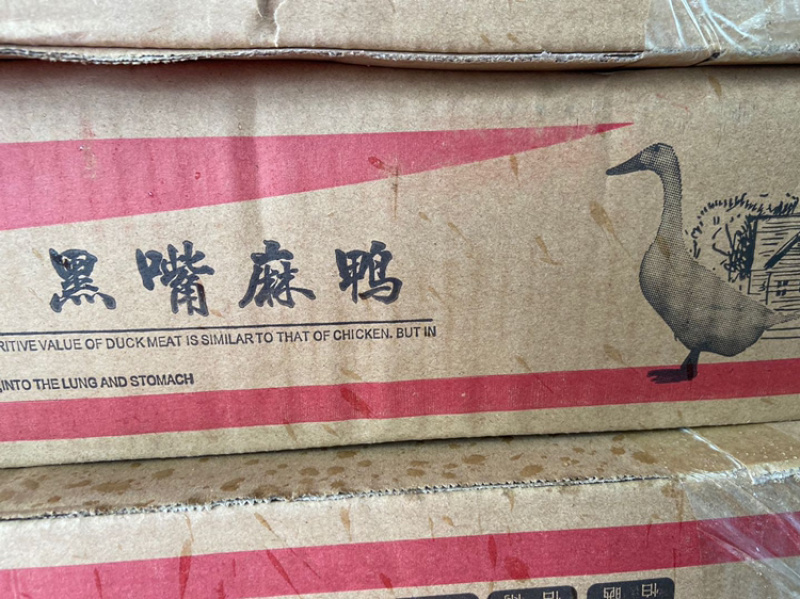 精选草麻鸭开背公鸭，青年麻鸭量大优惠保质保量